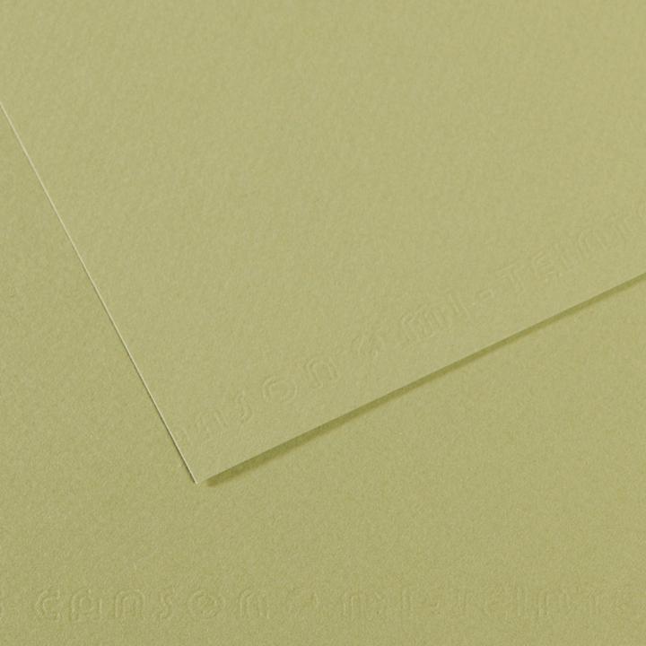 Image du produit Canson Papier à dessin Mi-Teintes, vert clair (160 g/m²)