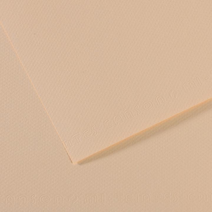 Actual product image Canson Drawing paper Mi-Teintes, pastel beige (160 g/m², 1 x)