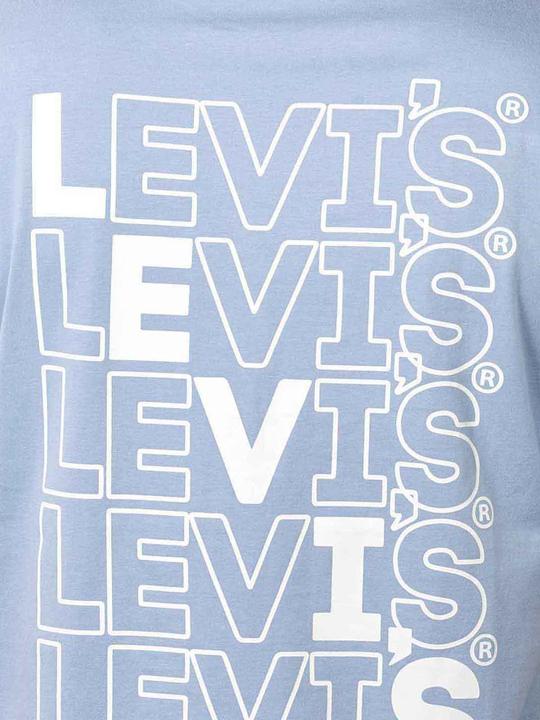 Actual product image Levis 10020226 (L)