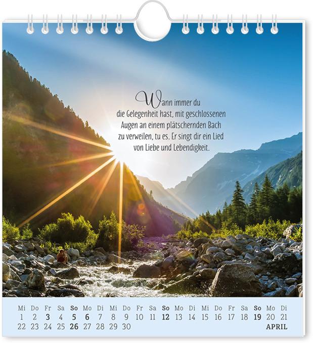 Actual product image Postkartenkalender 2026 Lebenszeichen (16 x 17 cm, German)
