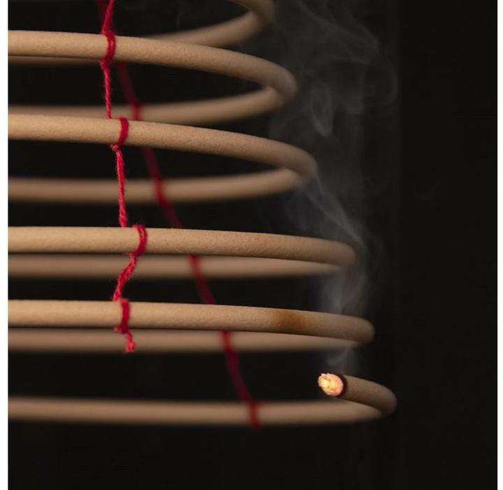 Actual product image Esschert Design Mosquito Spiral Citronella Brown