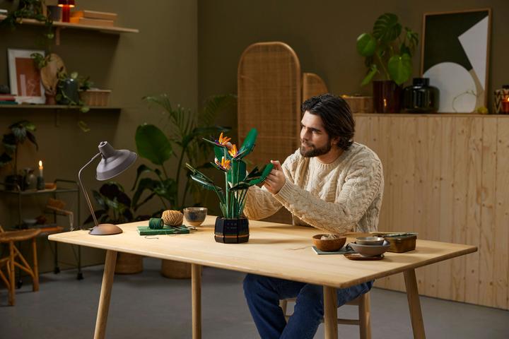 Image du produit LEGO Oiseau de Paradis (10289, LEGO difficiles à trouver)