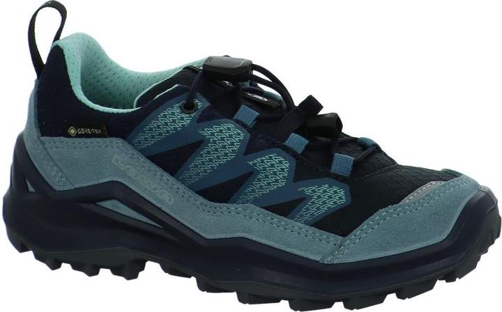 Produktbild Lowa Maddox Pro GTX LO (39)
