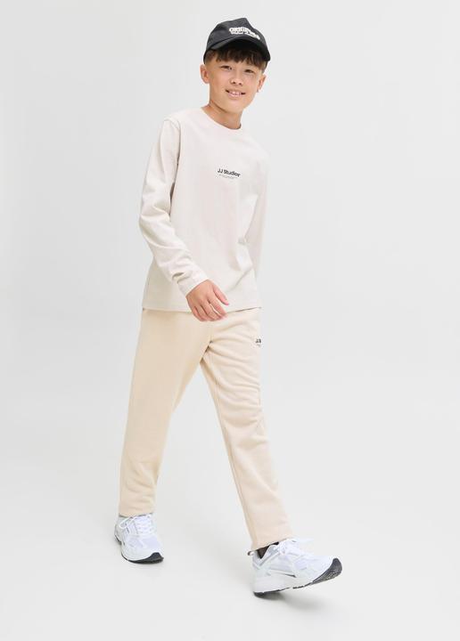 Actual product image Jack & Jones Relaxed Fit Hosen Junior Relaxed Fit Hosen (176)