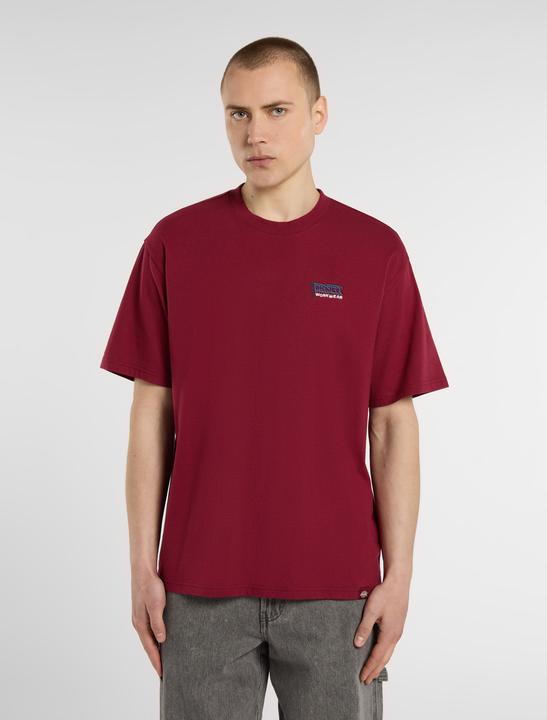 Actual product image Dickies Flag Tee SS (M)