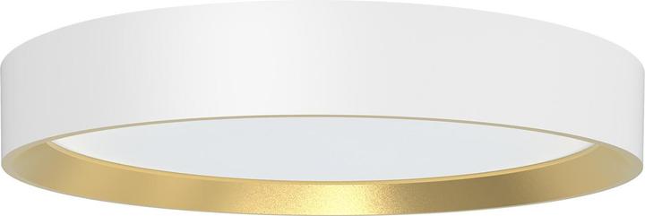 Philips Hanno (2700 lm)