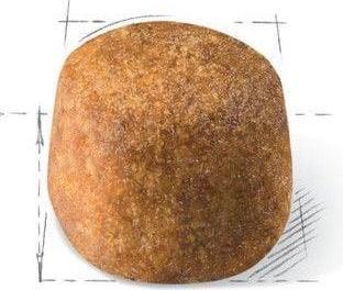 Image du produit Royal Canin Coon du Maine (Adulte, 1 pcs, 2000 g)