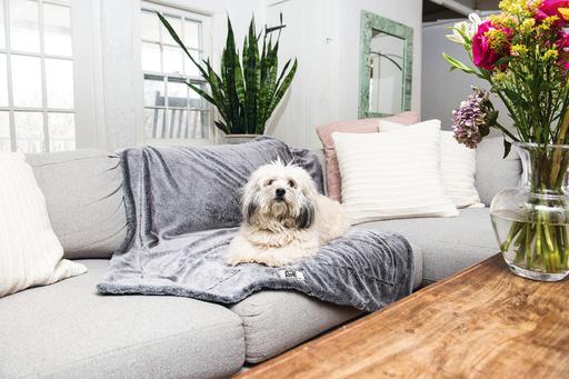Actual product image Dog Gone Smart Nano Plaid Chill Kuzzi (Dog)