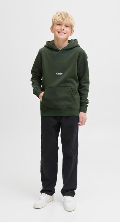 Actual product image Jack & Jones Jjesoho Sweat Hood Noos Jnr (140)