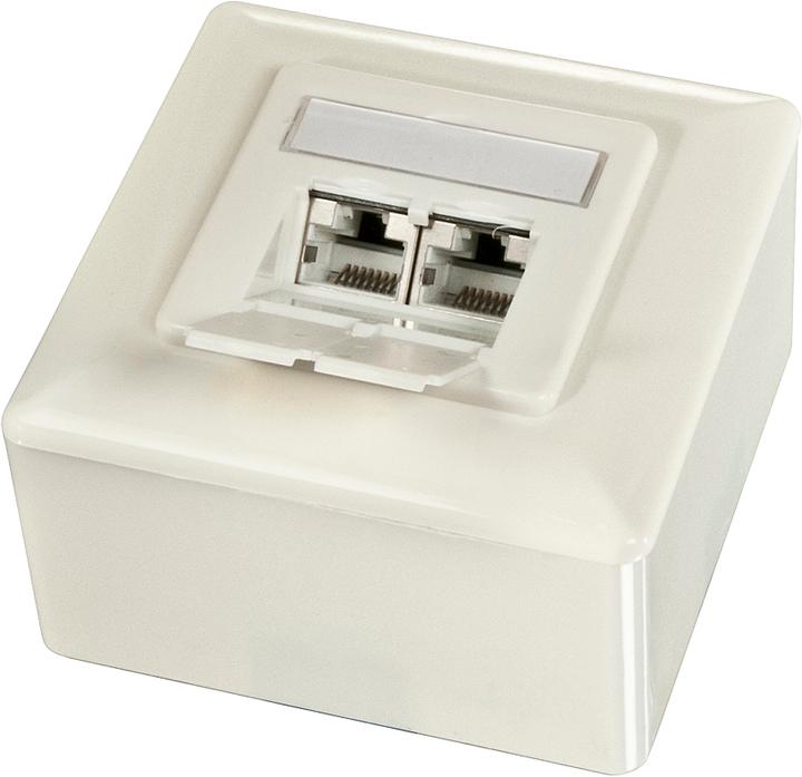 Image du produit Lindy Prise murale Cat6A 2x RJ45 (Accessoires pour câbles)