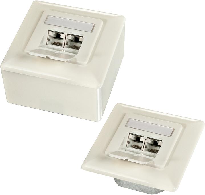 Image du produit Lindy Prise murale Cat6A 2x RJ45 (Accessoires pour câbles)