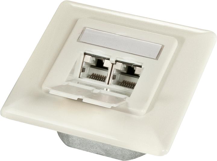 Image du produit Lindy Prise murale Cat6A 2x RJ45 (Accessoires pour câbles)