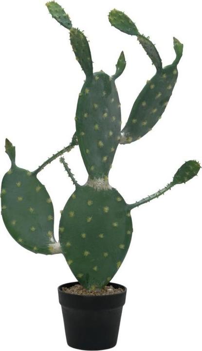 Image du produit Europalms Cactus à feuilles, plante artificielle, 76cm (76 cm)