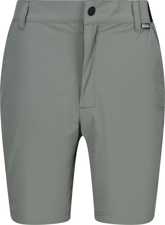 Regatta Travel Light Shorts (32)