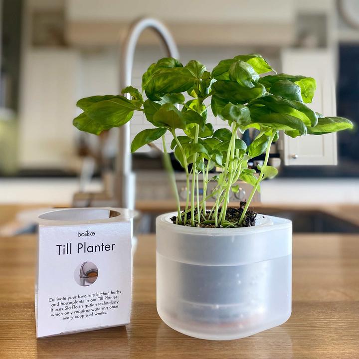 Produktbild boskke Till Planter, Transparenter Planzentopf mit Selbstbewässerung