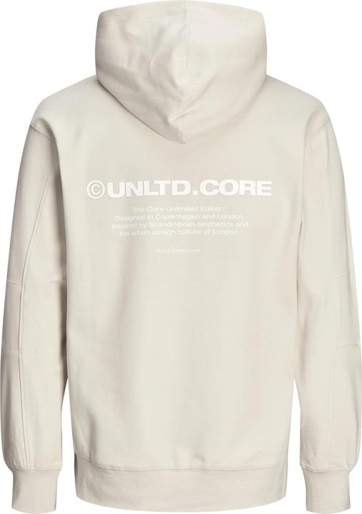 Immagine prodotto Jack & Jones Jcoaero Print Sweat Hood Noos (XS)