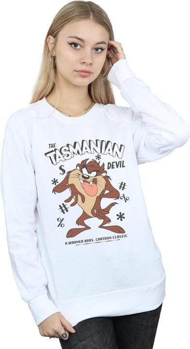 Looney Tunes Sweatshirt (M)