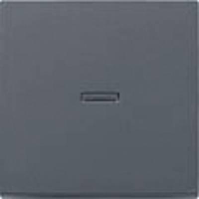 Produktbild Gira Wippe Kontroll anthrazit 029028 System 55