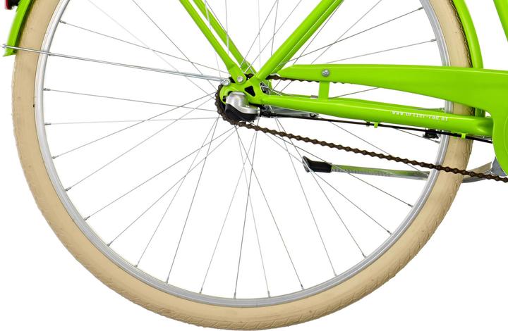 Actual product image Ortler Detroit (50 cm)