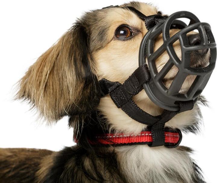 Immagine prodotto Baskerville Museruola per cani Ultra (3, Cane, Generale)