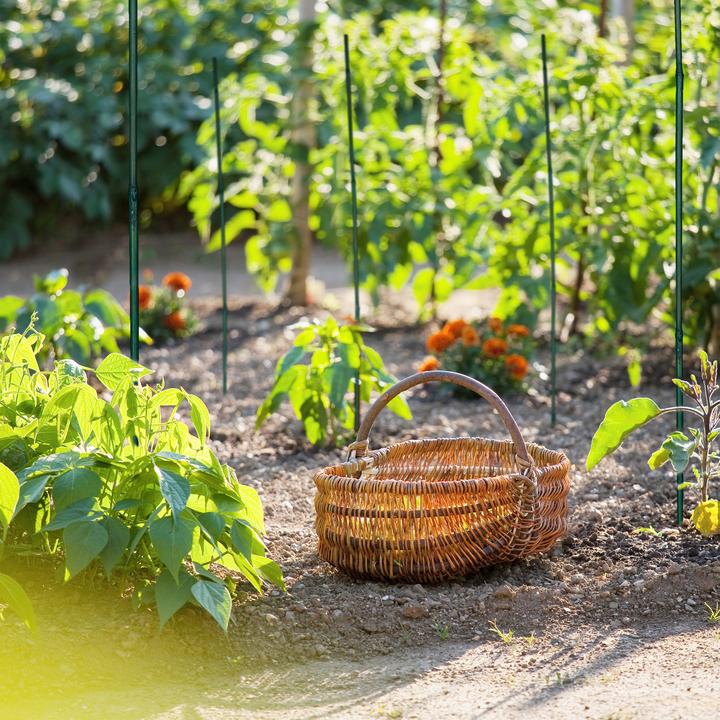 Actual product image Relaxdays 25x planting sticks (120 cm, 120 cm)