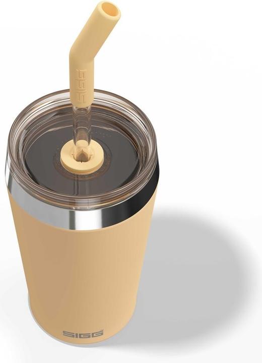 Image du produit Sigg Helia (0.60 l)