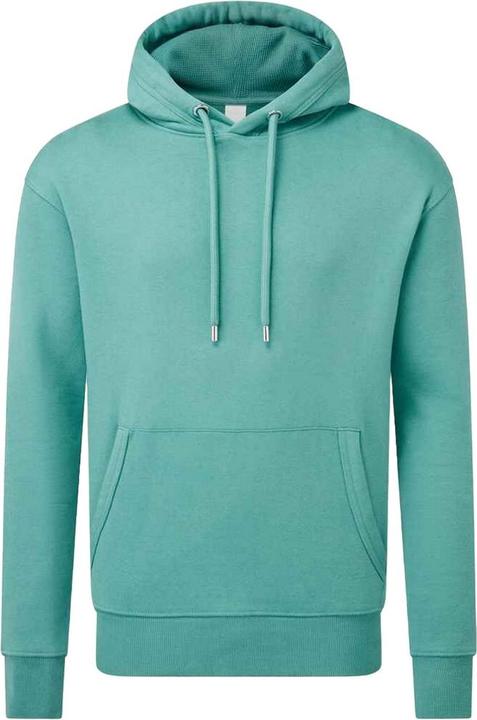 Produktbild Anthem Kapuzenpullover (XL)