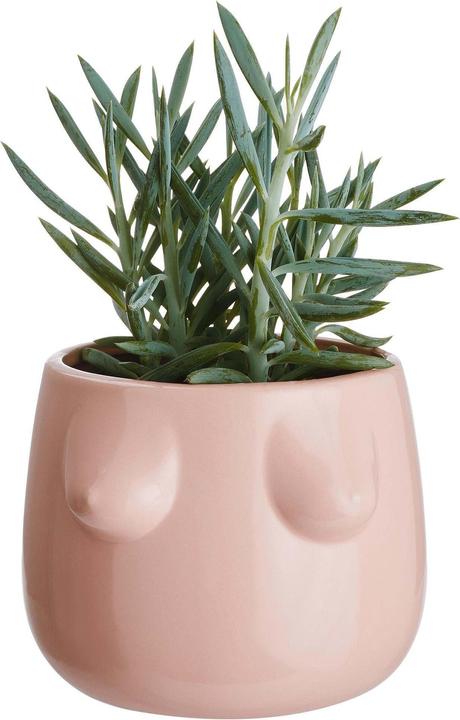 Produktbild home24 Boobies (16 cm)