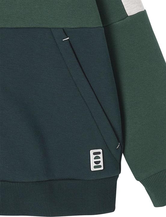 Actual product image Vertbaudet Sweatshirt (104)