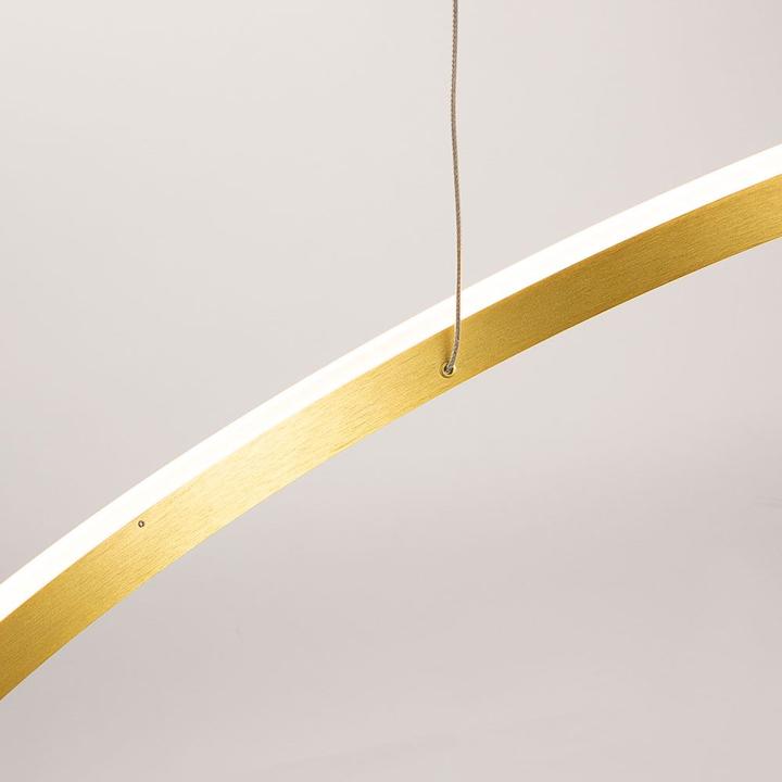 Produktbild s.luce Hängelampe Ring Schwarz Ø 120 | 100cm