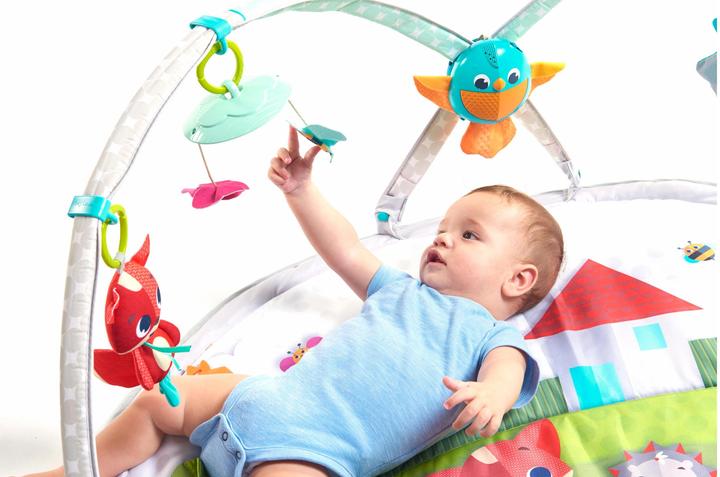 Productafbeelding Tiny Love Dynamische Gymini Weidedagen