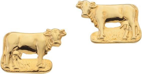 Image du produit Bijou Classic Ohrschmuck Ohrstecker (Paar) (Or)