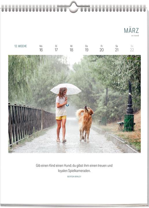 Produktbild Literarischer Hunde-Kalender 2026 (24 x 32 cm, Deutsch)