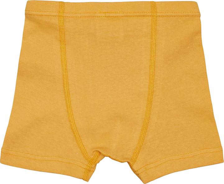 Actual product image loud + proud Boxer Set (122, pack of 2)