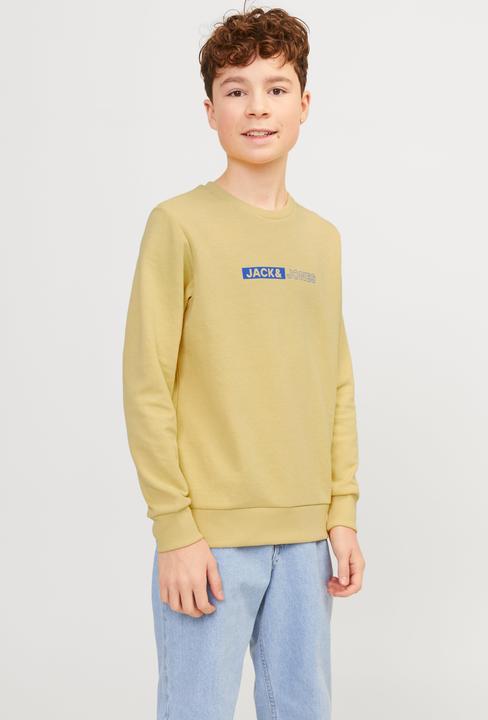 Immagine prodotto Jack & Jones Felpa stampata con collo rotondo Per i ragazzi Felpa con collo rotondo (176)
