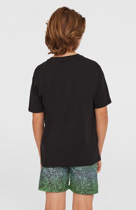 Produktbild O'Neill CALI 14" SWIMSHORTS (176)
