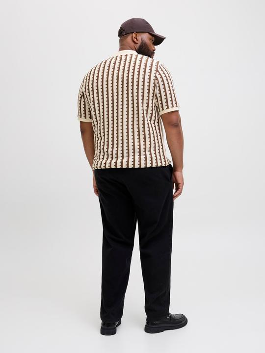 Actual product image Jack & Jones Plus Size Gestreift Poloshirt Poloshirt (3XL)