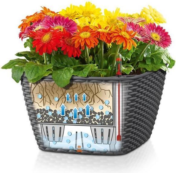 Actual product image Lechuza BACINO Cottage (30 cm)