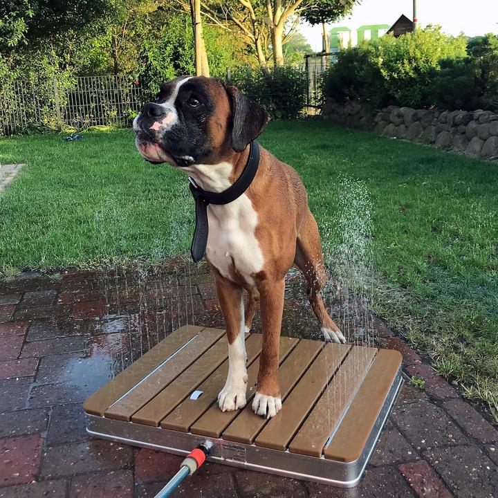Produktbild Tec Mobile Outdoor-Dusche