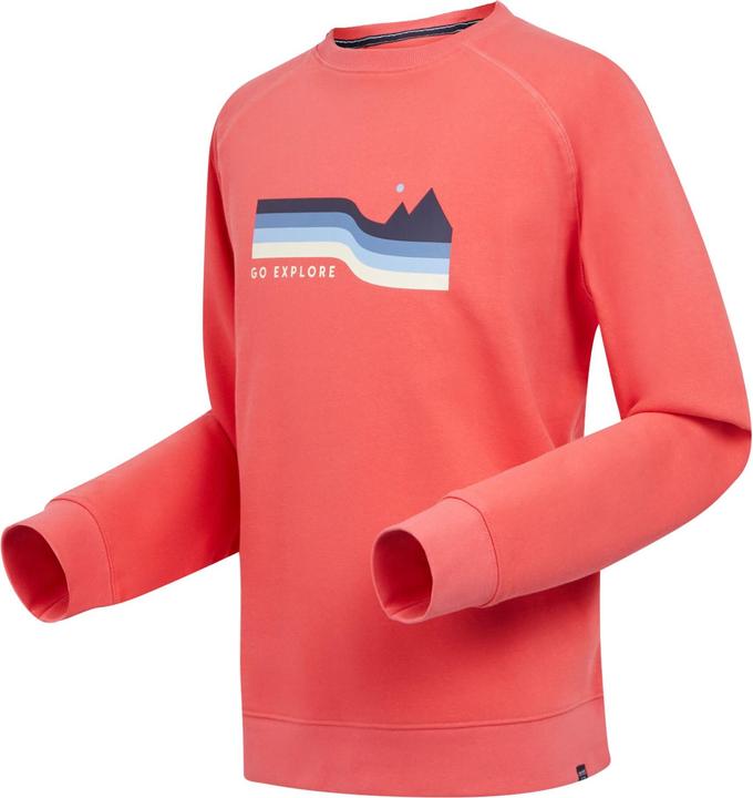Immagine prodotto Regatta Nithsdale Felpa Girocollo Uomo (XL)
