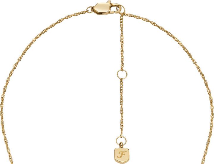 Produktbild Fossil Kette SUTTON (Edelstahl, 40 - 50 cm)