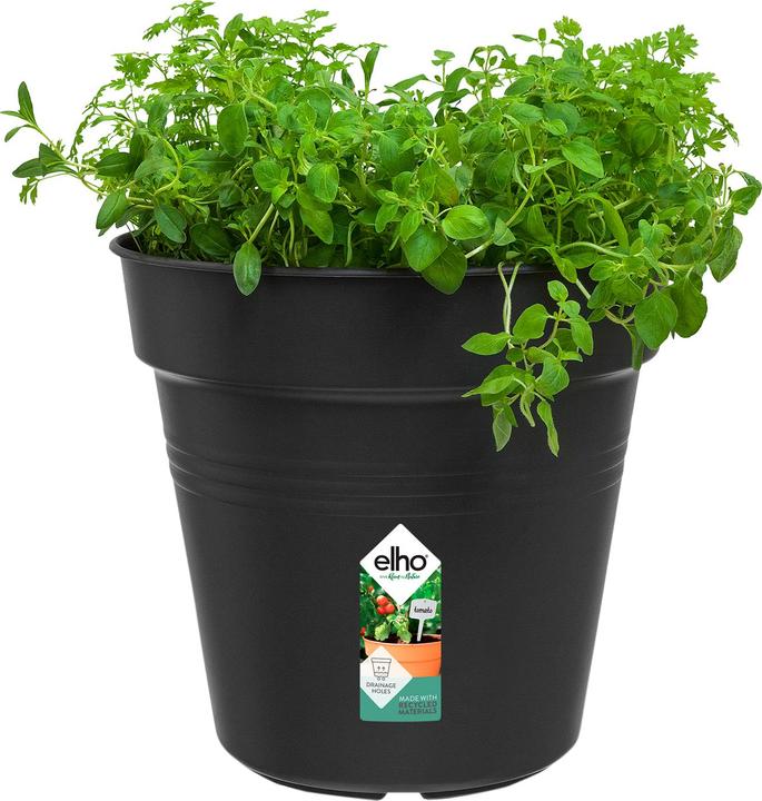 Actual product image Elho Green Basics (24 cm)