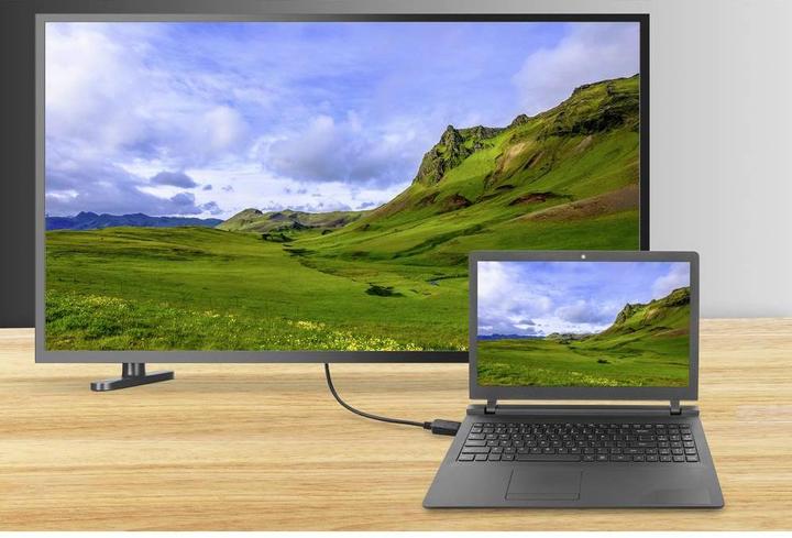 Actual product image Renkforce DisplayPort — DVI (1.80 m, DVI, DisplayPort)