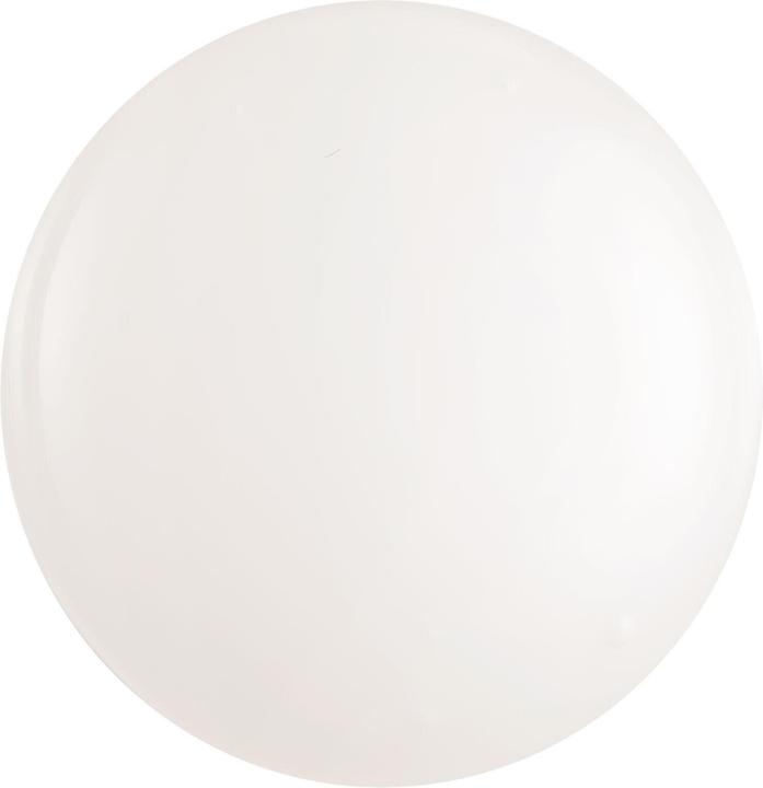 Actual product image Makeup Revolution Skincare Vitamin C 12.5% (30 ml)