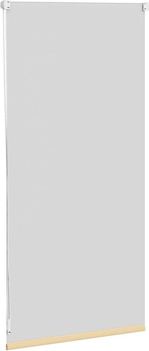 Actual product image VidaXL Rollo (40 x 100 cm)