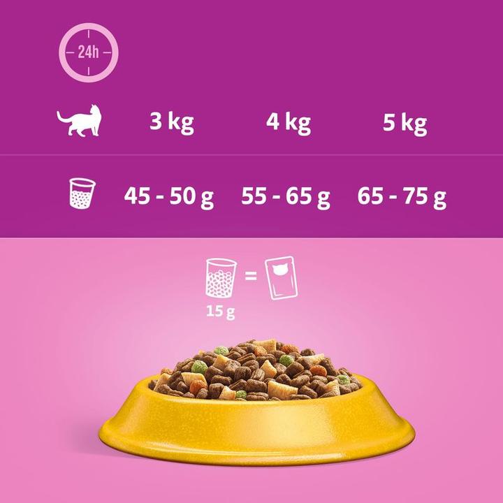 Actual product image Whiskas 1+ (Adult, 1 pcs., 3800 g)