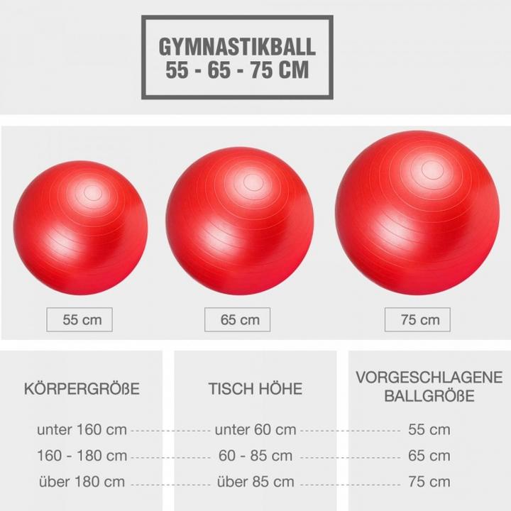 Image du produit Gorilla Sports Gymnastikball (55 cm)