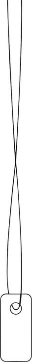 Actual product image HERMA Hang tags