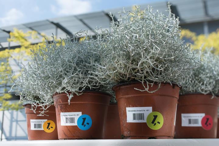 Immagine prodotto HERMA Etichette resistenti alle intemperie A4 rimovibili