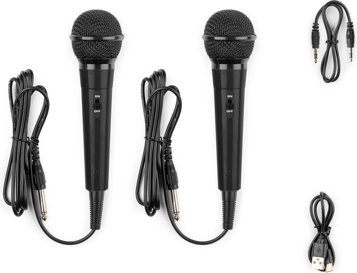 Image du produit Fenton Haut-parleur KAR15B avec 2 microphones (1x 15 W)